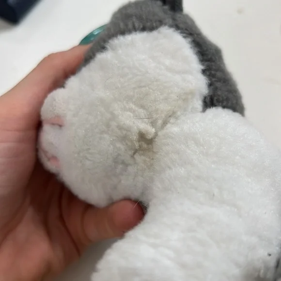 GIFTED Lot Ty Beanies Babies YANG Plush 6" Kitty Cat Kitten Stuffed Animal Gray - Picture 8 of 14